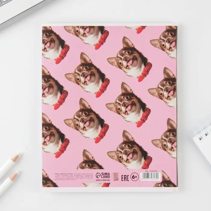 Тетрадь в клетку, предметная, 48 л.,на скрепке, А5 &laquo;УВЕДОМЛЕНИЯ. Физика&raquo;