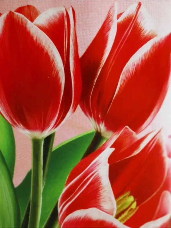 Гифтбокс с чаем, конфетами и еждневником "С 8 марта"