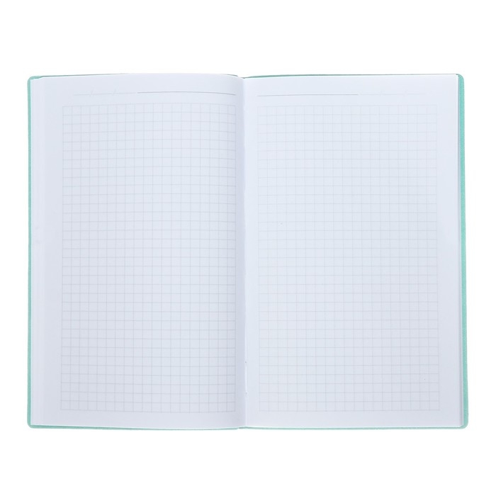 Еженедельник недатированный А5, 64 листа, на сшивке, интегральная обложка из искусственной кожи, тёмно-синий Еженедельник недатированный А5, 64 листа, на сшивке, интегральная обложка из искусственной кожи, тёмно-синий