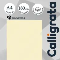 Папка уголок А4, 180 мкм, Calligrata TOP, молочный, непрозрачный, с тиснением