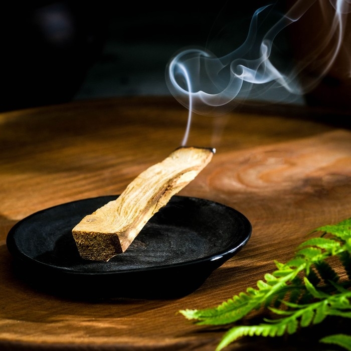 Набор благовоний Набор благовоний "Пало Санто. Премиум", 3 палочки, 45 гр