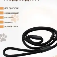 Ринговка для собак, 130&times;0.8 см, чёрная