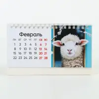 Календарь 2027, настольный домик фотореал 16&times;10.5 см