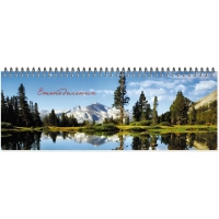 Планинг недатированный 295х100  56 л.Пт 4603721416431