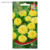Семена цветов Бархатцы "Аляска" 40 шт Семена цветов Бархатцы "Аляска" 40 шт