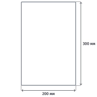 Пакет вакуумный пищевые 200х300мм РЕТ/РЕ 65мкм 200шт/уп