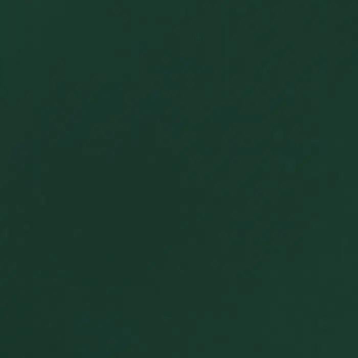 Пленка для цветов, «Золотая сторона», 57×57 см ±1 см зелёная сосна Пленка для цветов, «Золотая сторона», 57×57 см ±1 см зелёная сосна