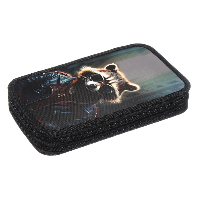 Пенал 2 секции, 125 х 205 х 40 мм, Calligrata 30П26/2  Пенал 2 секции, 125 х 205 х 40 мм, Calligrata 30П26/2 "Енот", ламинированный картон