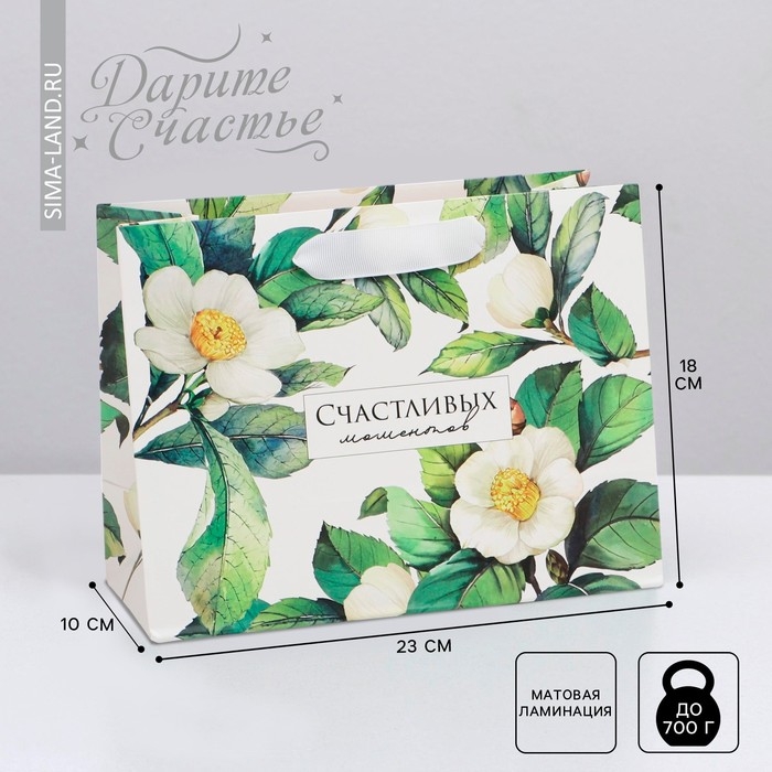 Пакет подарочный ламинированный горизонтальный, упаковка, «Счастливых моментов», MS 23 х 18 х 10 см Пакет подарочный ламинированный горизонтальный, упаковка, «Счастливых моментов», MS 23 х 18 х 10 см
