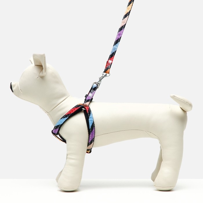 Комплект амуниции двухслойный, S, поводок 120х1 см,ОШ 24-38 ОГ 29-41 см, разноцветные полосы 96837 Комплект амуниции двухслойный, S, поводок 120х1 см,ОШ 24-38 ОГ 29-41 см, разноцветные полосы 96837