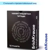 Комплект тетрадей 48 листов в клетку/линейку ErichKrause Noir, 12 штук