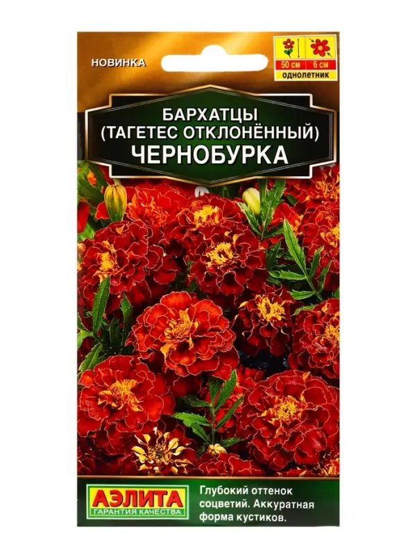 Семена цветов Бархатцы Чернобурка отклоненные Золотая серия, Ц/П,0,3 г Семена цветов Бархатцы Чернобурка отклоненные Золотая серия, Ц/П,0,3 г