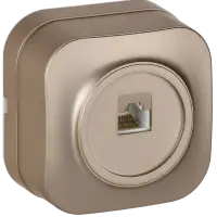GLORY Розетка для открытой установки компьютерная RJ45 кат.5E РК10-ХШм шампань матовый IEK
