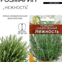 Семена Розмарин &laquo;Нежность&raquo;, 0.03 г, &laquo;Аэлита&raquo;