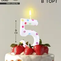 Свеча в торт на день рождения &laquo;Цифра 5 &raquo;, 9 см