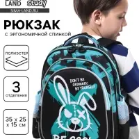 Рюкзак школьный, с эргономичной спинкой, 3 отделения, средний &laquo;Хулиган&raquo;