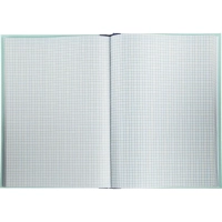 Книга учета амбарная в клетку 96л.обл.плотн.картон г/б
