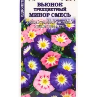 Семена Вьюнок Минор трехцветный /Сотка/ 0,5 г/ 20-30см/ *900 Семена Вьюнок Минор трехцветный /Сотка/ 0,5 г/ 20-30см/ *900