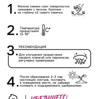Семена Примула "Аккорд Блю шейдс", ц/п,  5 шт