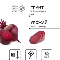 Семена Свекла столовая &laquo;Ронда&raquo;, F1, &laquo;Агрофирма АЭЛИТА&raquo;, 50 шт.