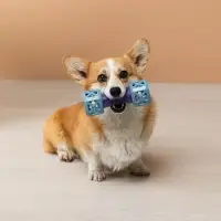 VETTA Игрушка для домашних животных, ТПР, 18х6 см