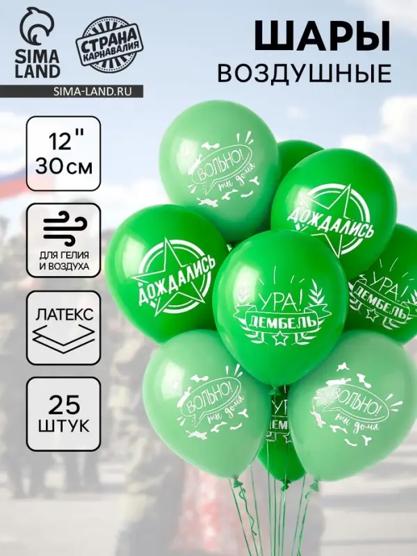 Воздушные шары латексные 12" &laquo;Дембель&raquo;, 25 шт.