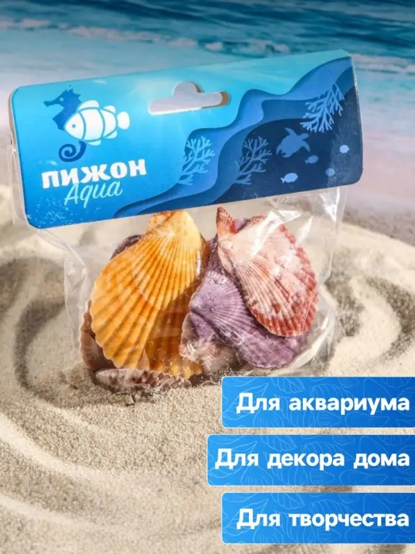 Набор ракушек Пектен Вексиллум средние, 4 - 6 см, 100 г