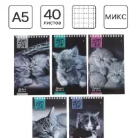 Блокнот &laquo;Альт. Кошки&raquo;, А5, 40 листов, на гребне, МИКС