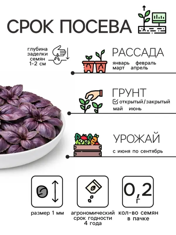 Семена Базилик овощной &laquo;Арарат&raquo;, 0.2 г, &laquo;Рецепты дедушки Никиты&raquo;