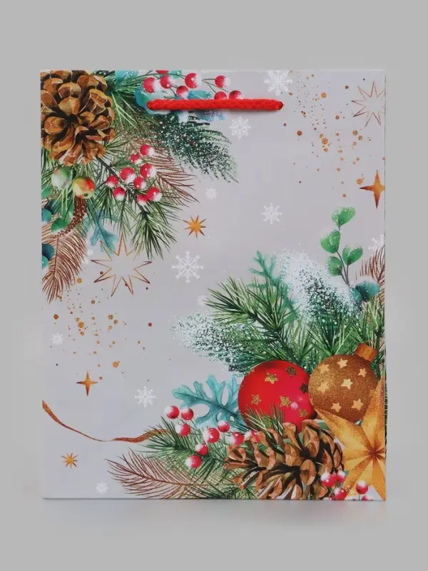 Пакет подарочный &laquo;Новогодние веточки&raquo;, 18&times;10&times;22.3 см