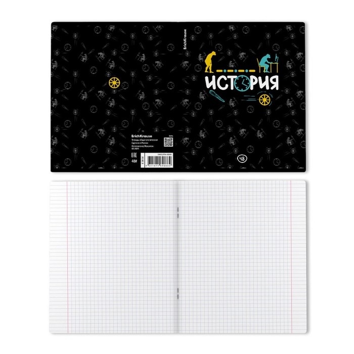 Тетрадь предметная ИСТОРИЯ, 48 листов в клетку, ErichKrause Inscription, обложка мелованный картон, твин-лак, блок офсет 100% белизна, инфо-блок