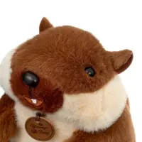 Мягкая игрушка "Бобёр" 21см