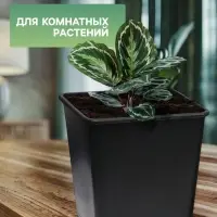 Горшок для рассады, 11 л, 25&times;25&times;26 см, чёрный