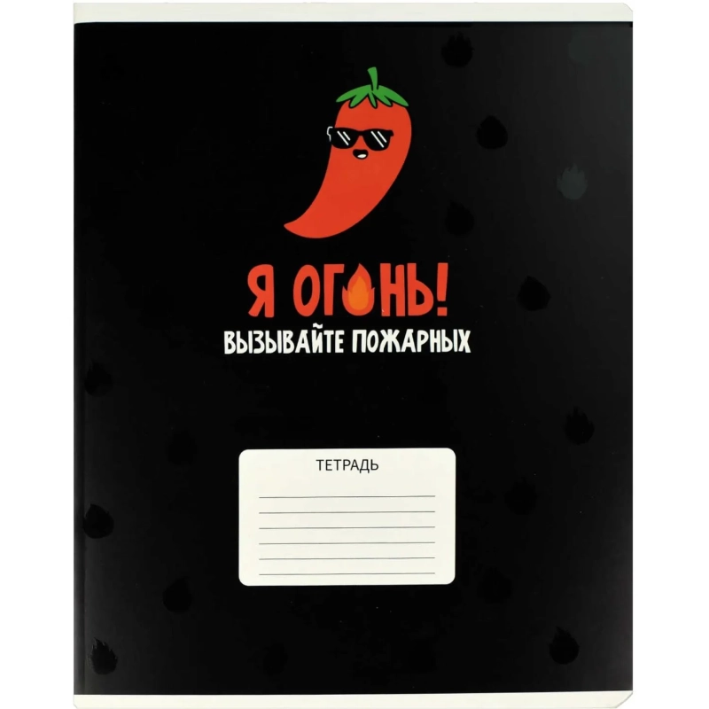 Тетрадь 24 л клетка ГЕРОИ С ХАРАКТЕРОМ А5+ 68545