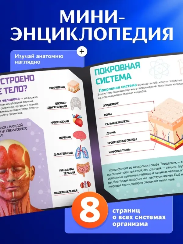 Набор для опытов &laquo;Строение тела&raquo;, анатомия человека