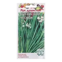 Семена Лук "Душистый Китайский чеснок", ц/п, 0,2 г Семена Лук "Душистый Китайский чеснок", ц/п, 0,2 г