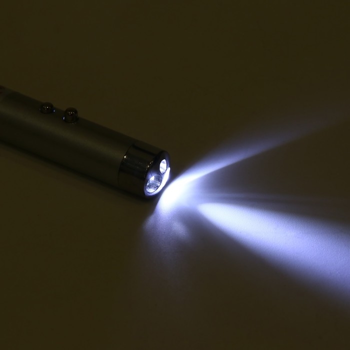 Лазерная указка, с карабином, дальность 1 км, 3 LR 44, 7.3 х 1.2 см, серебряная Лазерная указка, с карабином, дальность 1 км, 3 LR 44, 7.3 х 1.2 см, серебряная