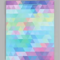 Пакет ламинированный &laquo;Лабиринт&raquo;, 26&times;32&times;10 см, разноцветный