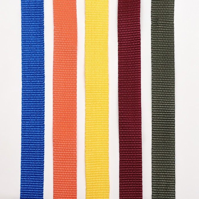 Поводок капроновый цветной Зооник, 5 м х 2,5 см, микс цветов Поводок капроновый цветной Зооник, 5 м х 2,5 см, микс цветов