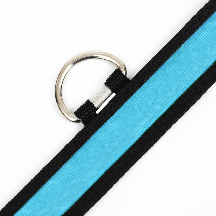 Ошейник с подсветкой Flash 3 режима свечения размер S, ОШ 35-43 х 2,5 см синий Ошейник с подсветкой Flash 3 режима свечения размер S, ОШ 35-43 х 2,5 см синий