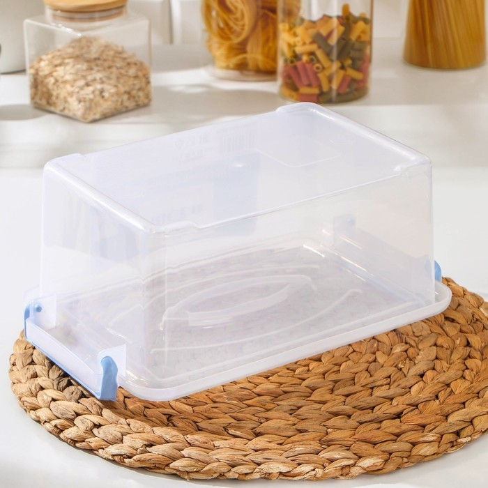 Контейнер пищевой RICCO, 4,5 л, 32×20×12 см, прямоугольный, цвет прозрачный, ручки голубые