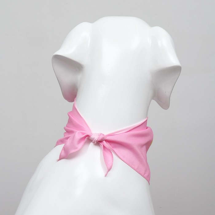 Платок для животных  Платок для животных "С днём рождения", 15 х 12 х 1 см, розовый