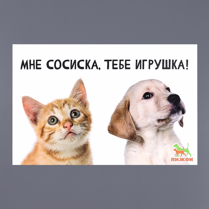 Коврик под миску  Коврик под миску "Пижон" 43 х 28 см"Мне сосиска, тебе игрушка!"