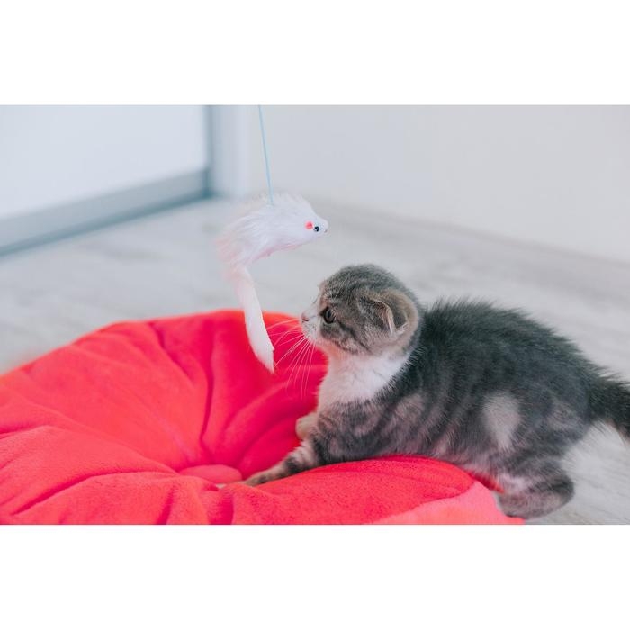 Дразнилка-удочка с белой мышью, палочка микс цветов Дразнилка-удочка с белой мышью, палочка микс цветов