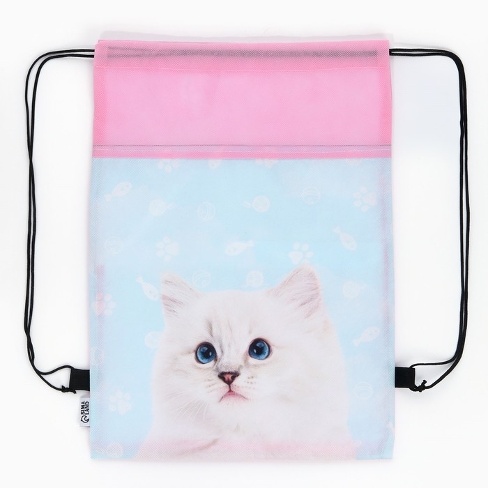 Мешок для обуви «Мысли кота» нетканное полотно, размер 30 х 40 см МИКС Мешок для обуви «Мысли кота» нетканное полотно, размер 30 х 40 см МИКС