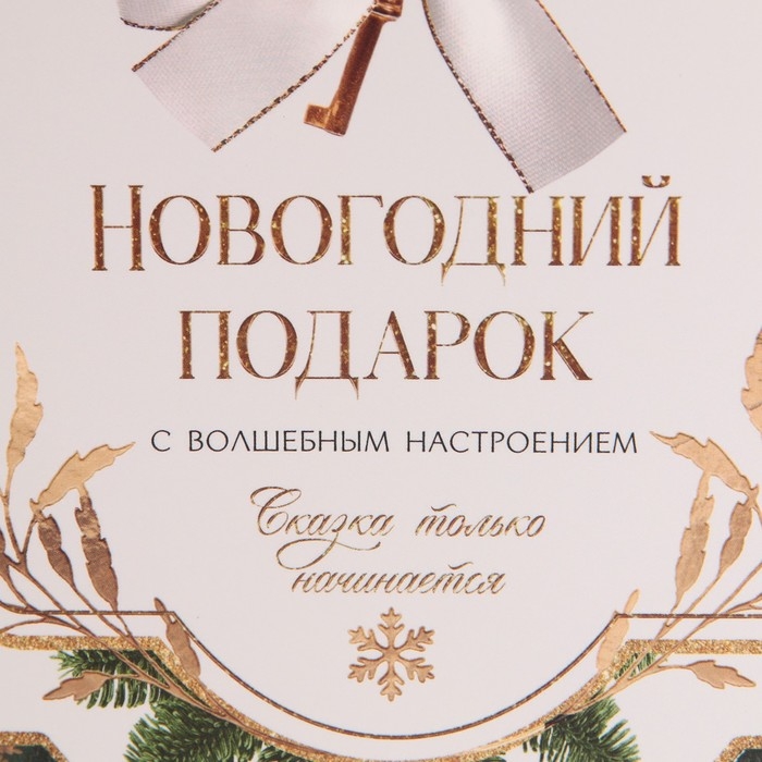 Пакет-коробка «Подарок для тебя», 23 х 18 х 11 см, Новый год Пакет-коробка «Подарок для тебя», 23 х 18 х 11 см, Новый год