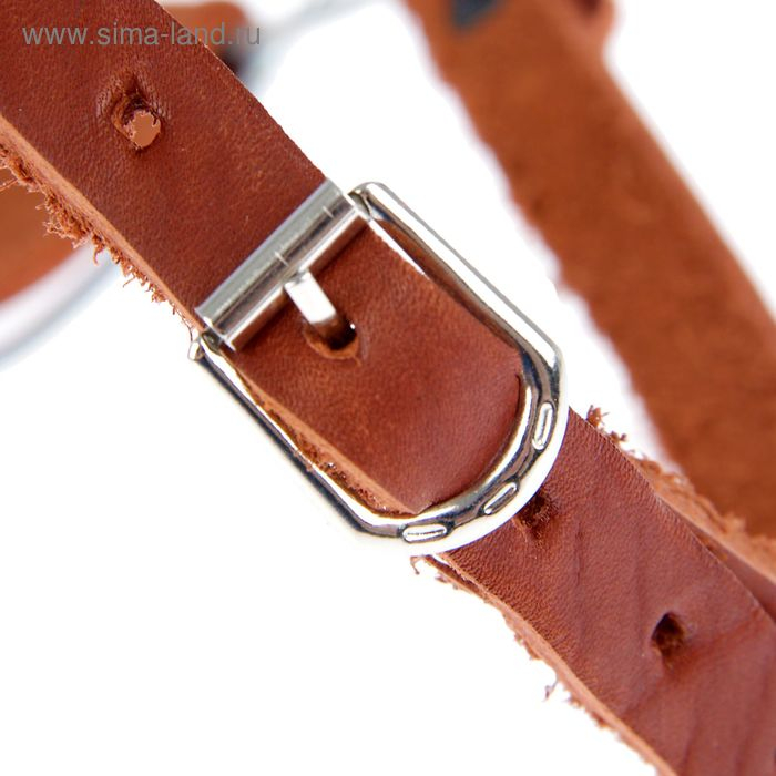 Намордник металлический Зооник №Б (боксер), ДС 9,5 см, ОМ 39 см, микс Намордник металлический Зооник №Б (боксер), ДС 9,5 см, ОМ 39 см, микс