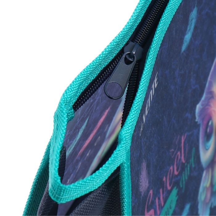 Папка для тетрадей А4, 330 х 230 х 100 мм (ЭКСТРА-ВМЕСТИМОСТЬ), молния сверху, пластик, de VENTE Happy Owl Папка для тетрадей А4, 330 х 230 х 100 мм (ЭКСТРА-ВМЕСТИМОСТЬ), молния сверху, пластик, de VENTE Happy Owl