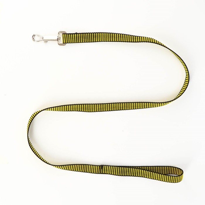 Комплект амуниции рельефный, поводок 120 х 2 см, ОГ 44-50 см, жёлто-чёрный Комплект амуниции рельефный, поводок 120 х 2 см, ОГ 44-50 см, жёлто-чёрный