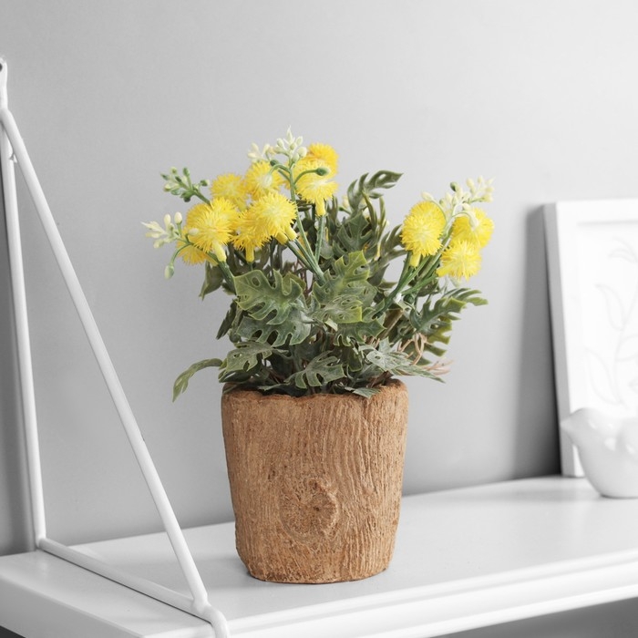 Бонсай Бонсай "Синеголовник экстра" 9х21 см, микс